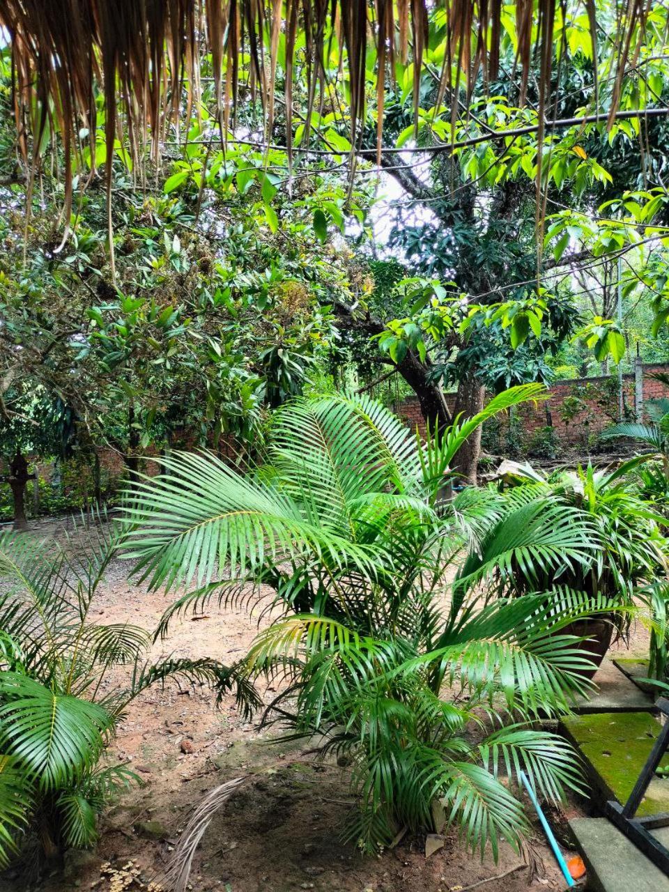 Apartamento Jungle House Kep Exterior foto